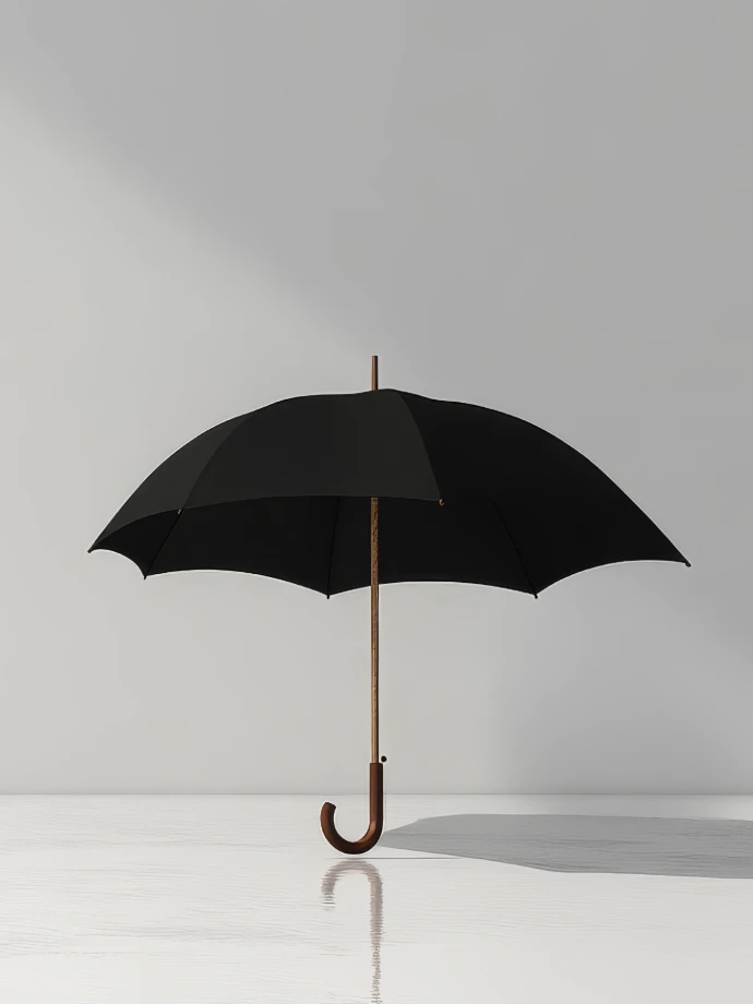 Insurance Law
